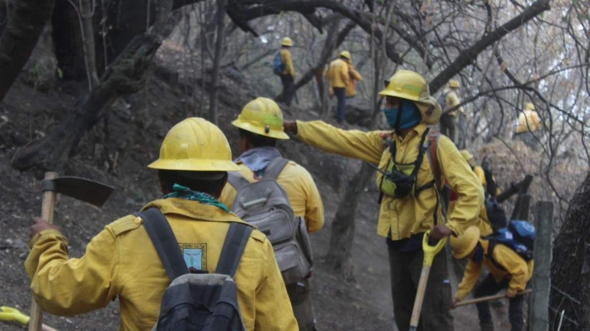 Las labores para mitigar el incendio en el paraje Malinalapa del barrio San Domingo, Tepoztlán