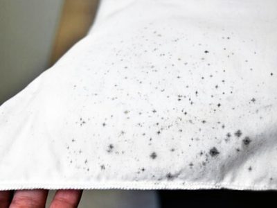 El truco de la abuela para quitar para siempre las manchas de moho de la ropa