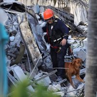 Avanzan los operativos de rescate en Miami: ya recuperaron con vida a 35 personas