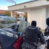 Chos Malal: operativo antinarcóticos terminó con un detenido y un secuestro millonario
