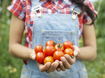5 trucos para cultivar tomates más reales