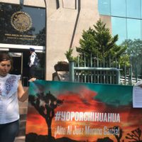 Red ciudadana exige al CJF se castigue actuación de juez en el caso de exoperador de Beltrones