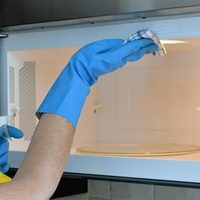 Con 2 ingredientes: el truco viral para limpiar a fondo tu microondas sin esfuerzo
