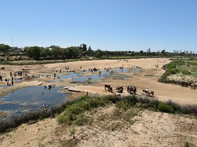 Así una mujer salvó a toda una aldea de morir de hambre en Madagascar