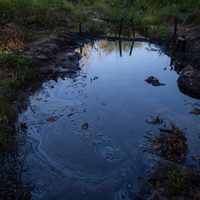 Marginación y daño ecológico, la huella de Florentino Pérez en Veracruz
