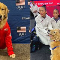 Beacon, el perro de terapia del equipo de gimnasia de Estados Unidos