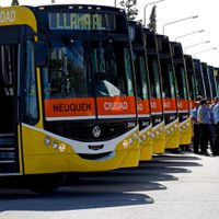 Proponen que tres empresas de transporte compitan por el servicio en Neuquén