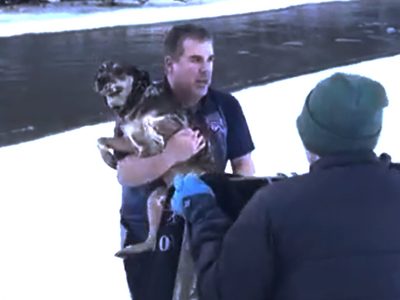 Graban en video dramático rescate de perro de un río helado