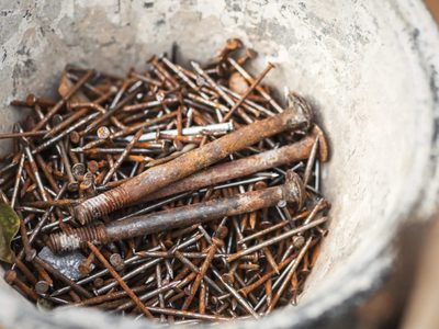 Tirar los clavos oxidados no es una opción: mirá cómo podés proteger las plantas sin gastar un peso