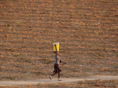 Cambio climático afecta más a explotaciones y hogares rurales dirigidos por mujeres: ONU