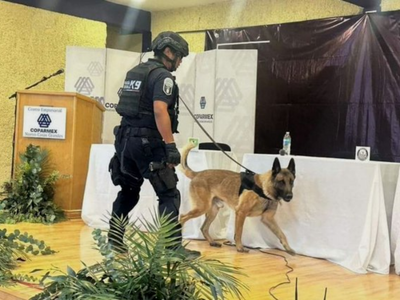 Suspenden debate por amenaza de bomba en Nuevo Casas Grandes, Chihuahua