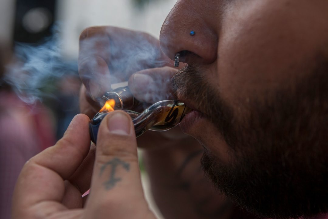 Cannabis Foto Octavio Gómez