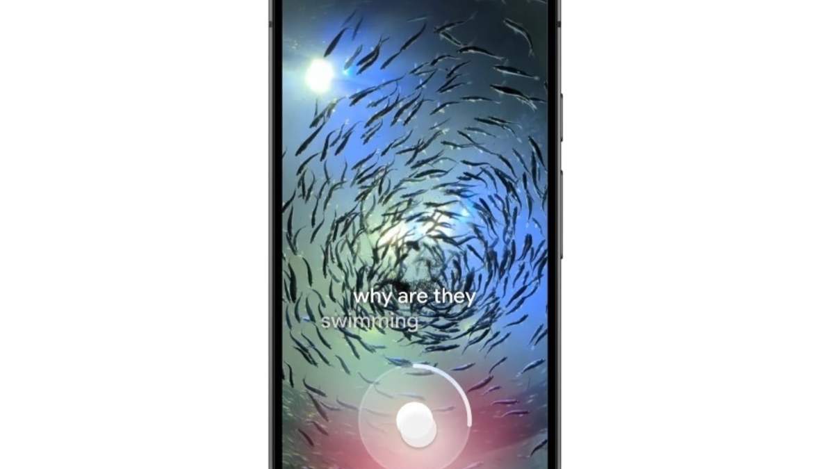 Preguntas sobre videos en Google Lens - GOOGLE