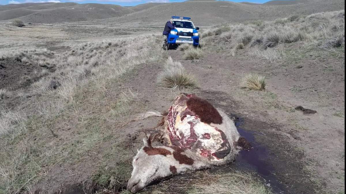Diferentes productores relataron las situaciones que vivieron en sus campos. Fuente: (Realidad Sanmartinense).