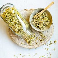 Germinado de lentejas: dales un toque a tus comidas con esta idea fácil, original y saludable