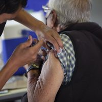 Vacuna de AstraZeneca es igual de efectiva que Pfizer en adultos mayores: OPS