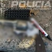 Operativo en Maronese: demoraron a un hombre con un revólver, municiones y pasamontañas