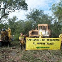Gran Chaco: la deforestación que alimenta los asados de carne del primer mundo
