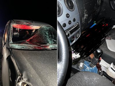 Un brutal choque contra un caballo dejó dos personas heridas en la ruta 17
