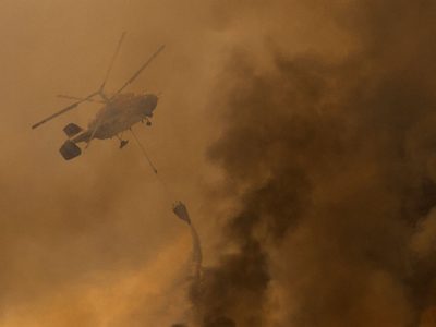 Incendios forestales en Grecia y Turquía podría darse en España: WWF