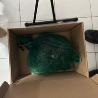 Cae en Chiapas presunto traficante de monos y guacamayas
