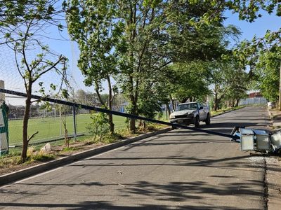 El fuerte viento se llevó árboles, desprendió techos y produjo cortes de luz en Neuquén