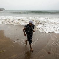 Alertan en Manzanillo por toxina paralizante en moluscos que puede ser transmitida a humanos