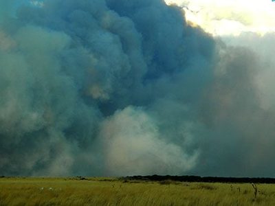 El INTA hace un llamado a extremar medidas para evitar más incendios forestales en Río Negro