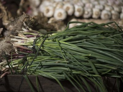 El truco de los viveristas para curar tu planta de Cebolla de verdeo si está de color amarilla y medio marchita