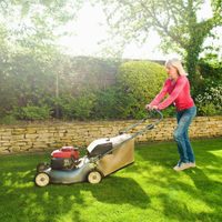 5 soluciones para que el césped amarillo desaparezca del jardín