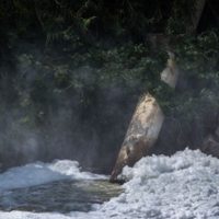 CEDHJ emite recomendación por afectaciones de menores expuestos a contaminación del río Santiago