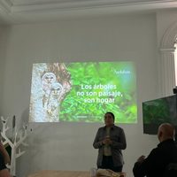 Árboles, resistencia del equilibrio ecológico en la CDMX