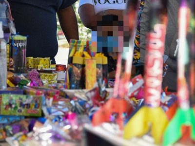 SSC pide evitar uso de pirotecnia durante fiestas de Año Nuevo para cuidado de animales de compañía
