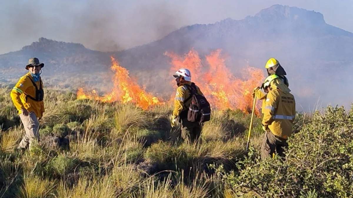 Un solo descuido puede provocar incendios devastadores, con consecuencias graves e irreparables. Fuente: (Facebook)