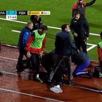 Entrenador de un club serbio muere de un infarto durante un partido de primera división (Video)