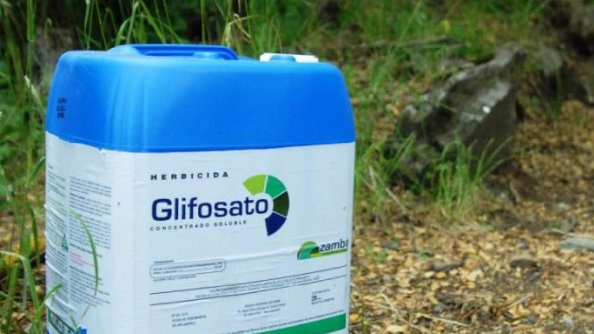 Glifosato, herbicida químico