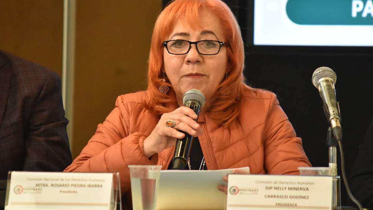 Rosario Piedra en la comparecencia