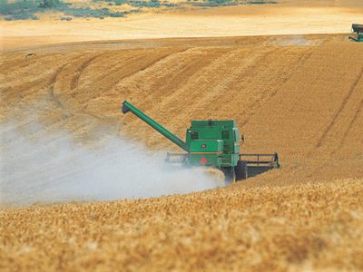 Las exportaciones del campo, un récord: se liquidaron 19.145 millones de dólares