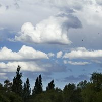 Clima en Neuquén: mejoran las condiciones durante este miércoles