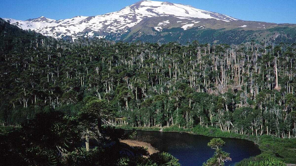 Copahue. Fuente: (X)
