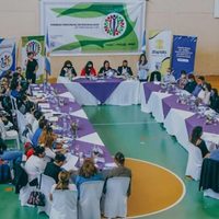 El Consejo Provincial de Discapacidad se pronunció ante las denuncias en la subsecretaría