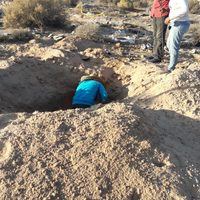 El desierto sonorense convertido en cementerio clandestino: suman 42 los cuerpos hallados