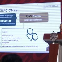 Obtienen su libertad 3 mil 359 personas, 165 de ellas por amnistía: Rosa Icela Rodríguez