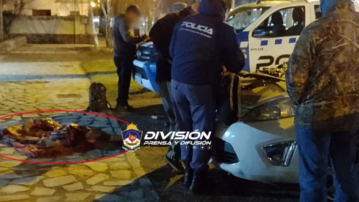Cazadores furtivos. Fuente: (Policía de Neuquén)