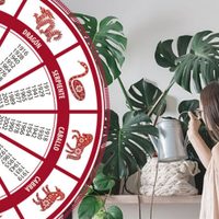 Para tener un buen año: qué plantas de interior sugiere el Horóscopo chino para cada signo