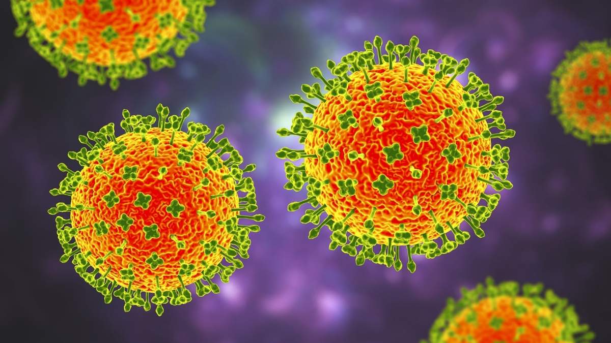 Henipavirus. Fuente: (Twitter)