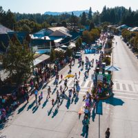 Fin de semana XXL: ¿Cómo funcionarán los servicios públicos por carnaval?