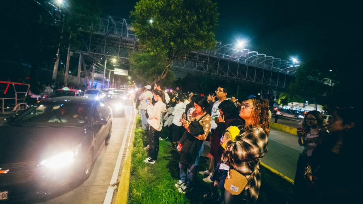 Desde el camellón