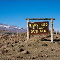 Trabajadores de la Salud de Las Ovejas utilizaron el caballo de un criancero para rescatar a una senderista