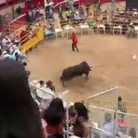 Un toro brinca varias veces sobre un jinete en plaza de Morelia y lo deja grave (Video)
